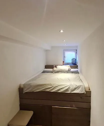 Zack's Mountain Traveler